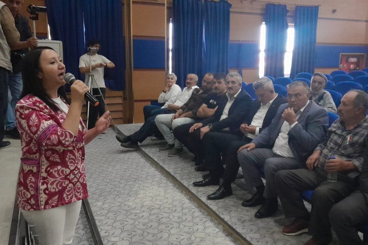 Bilecik’te son sözü DSİ söyleyecek -