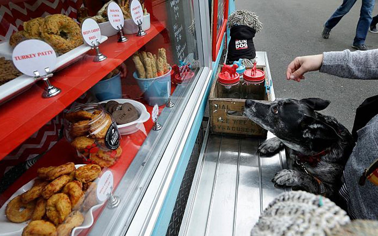 Bilim insanları köpek mamalarına karşı uyardı!