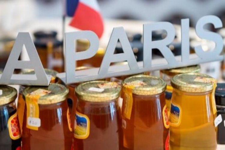 'Bingöl Balı'na Paris ödülü -