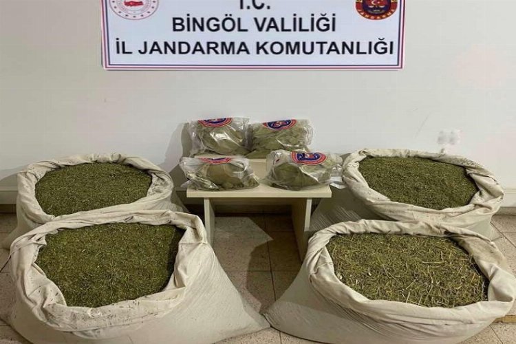 Bingöl’de 145 kilogram esrar ele geçirildi -