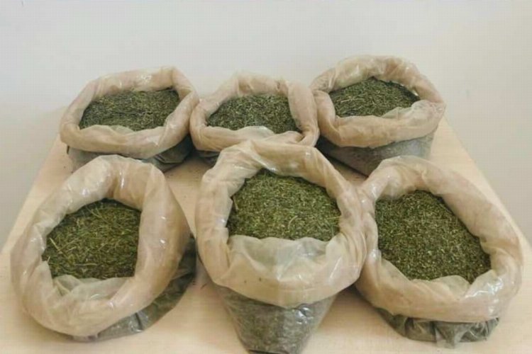 Bingöl’de 3 kilogram uyuşturucu ele geçirildi -