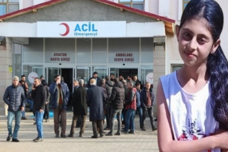 Bingöl'de Helen’in ölümüne neden olan sürücü tutuklandı -
