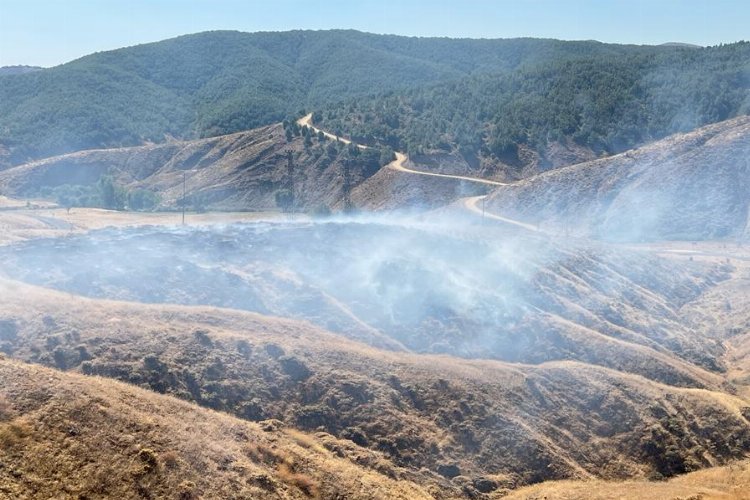 Bingöl’de örtü yangını ormanlık alana sıçramadan söndürüldü -
