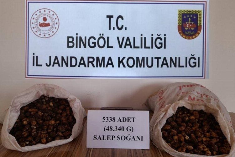 Bingöl'de salep soğanı toplayanlara 1 milyon 221 bin lira ceza kesildi -