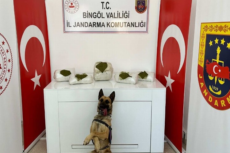 Bingöl’de toprağa gömülü toz esrar bulundu -