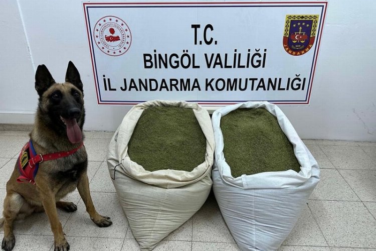 Bingöl’de uyuşturucu operasyonu -