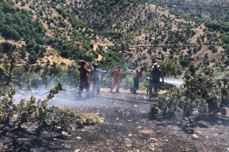 Bingöl'deki orman yangını kısa sürede söndürüldü -