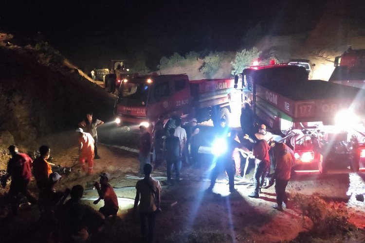 Bingöl'deki orman yangınında soğutma sürüyor -