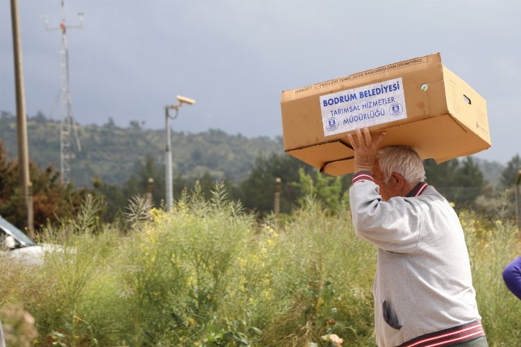 Bodrum'da 350 bin fide üreticiyle buluştu -
