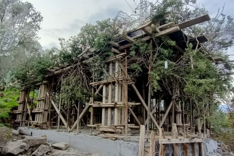 Bodrum'da kaçak inşaatı ağaç dallarıyla gizlemeye çalıştılar -