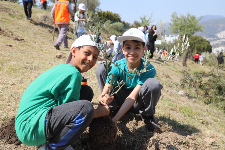 Bodrum'da zeytin fidanları toprakla buluştu -