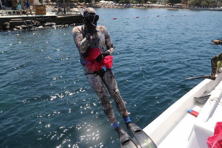 Bodrum'un dipleri şaşırtmaya devam ediyor! -