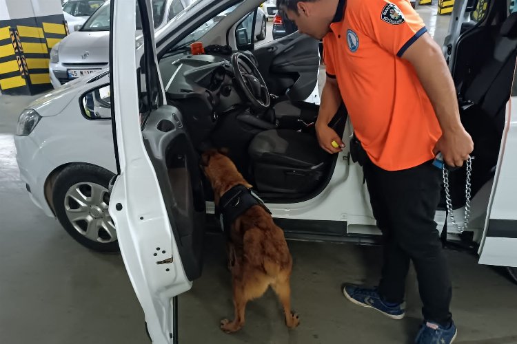 Bomba arama köpeği 'Niobe' göreve hazır -