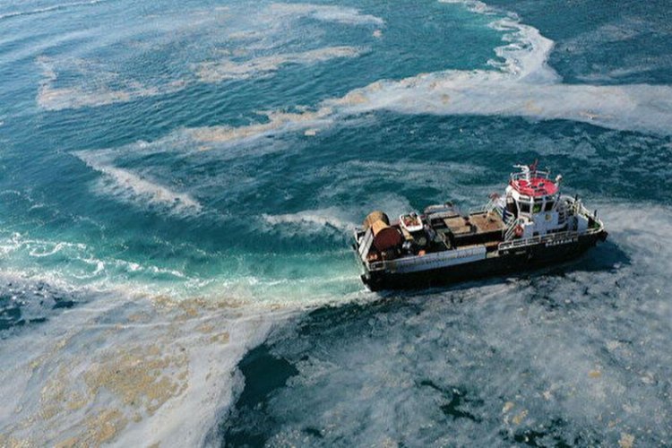 BTÜ'den müsilaj uyarısı -