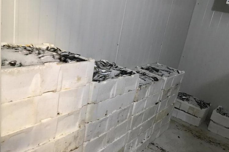 Bursa Balık Hali'nde sıkı denetim -