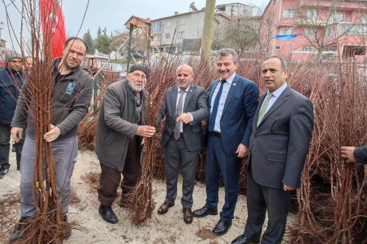 Bursa Büyükorhanlı çiftçiye fidan desteği -
