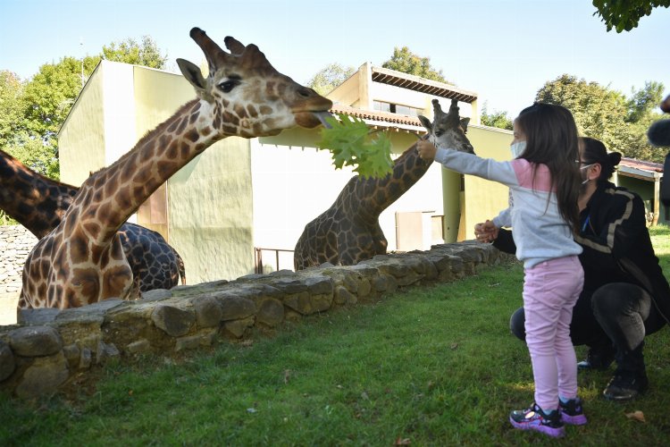 Bursa Büyükşehir'den 'hayvanat bahçesi' açıklaması -