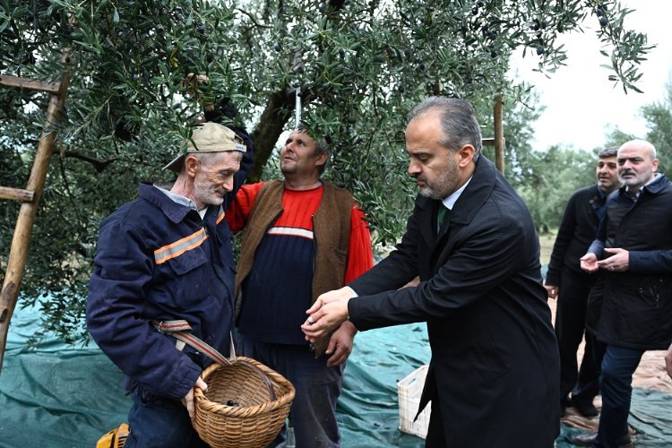 Bursa Büyükşehir'den zeytin üreticilerine yaygı desteği -
