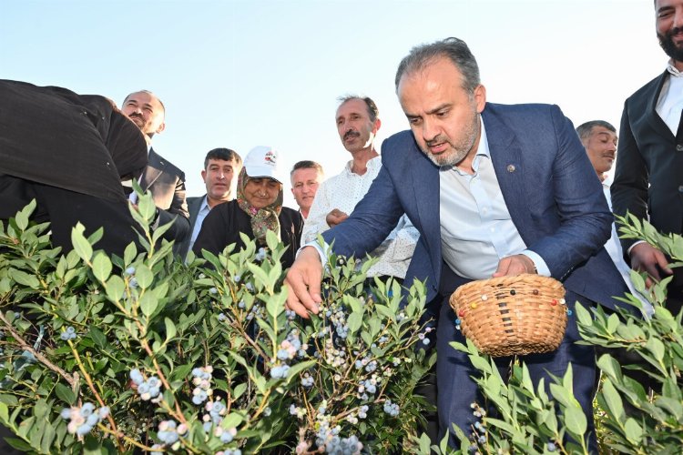 Bursa Büyükşehir tarlada üreticiye nefes oldu -