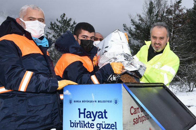 Bursa Büyükşehir can dostları sahipsiz bırakmıyor -