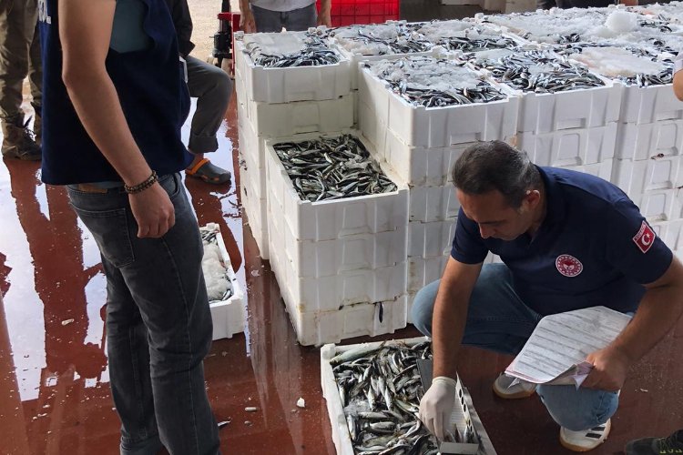 Bursa'da 119 kasa istavrite el kondu! -