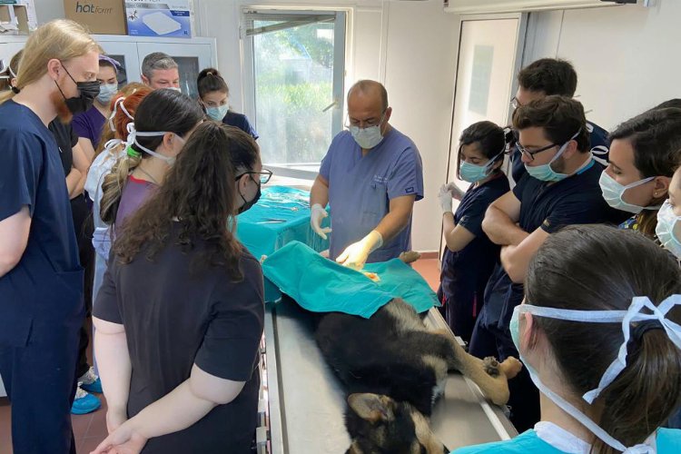 Bursa'da geleceğin veterinerlerine Osmangazi'de uygulamalı eğitim -