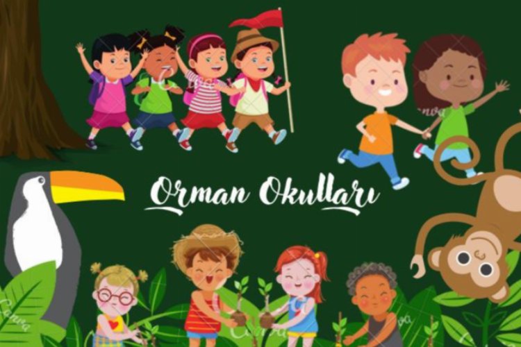 Bursa'da gençlerden doğa sevdiren bir proje: Orman Okulu -