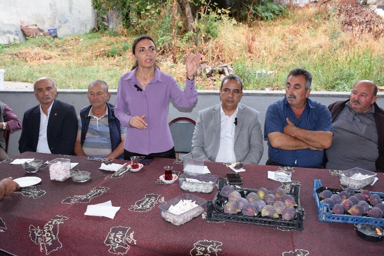 Bursa'da incir üreticilerinin isyanına CHP'liler ses oldu -