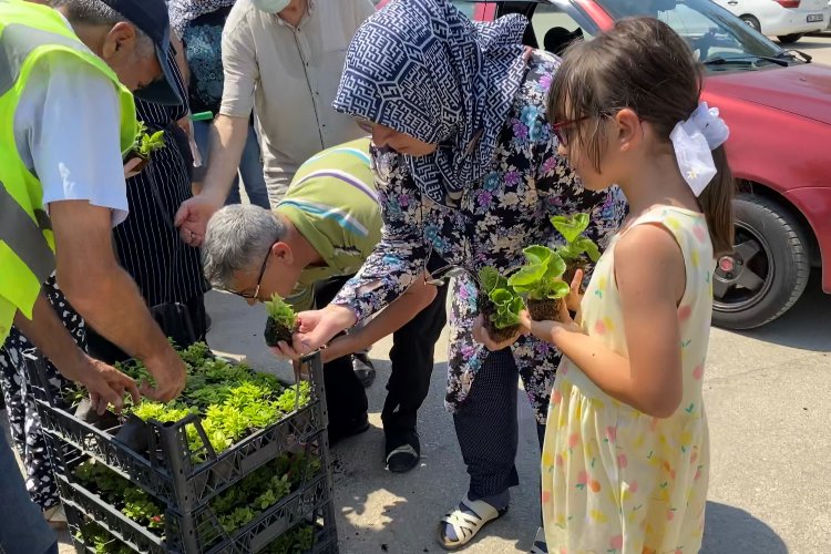 Bursa'da mezarlık ziyaretçilerine ücretsiz çiçek -