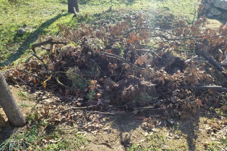 Bursa'da mezarlıkta esrarengiz olay -