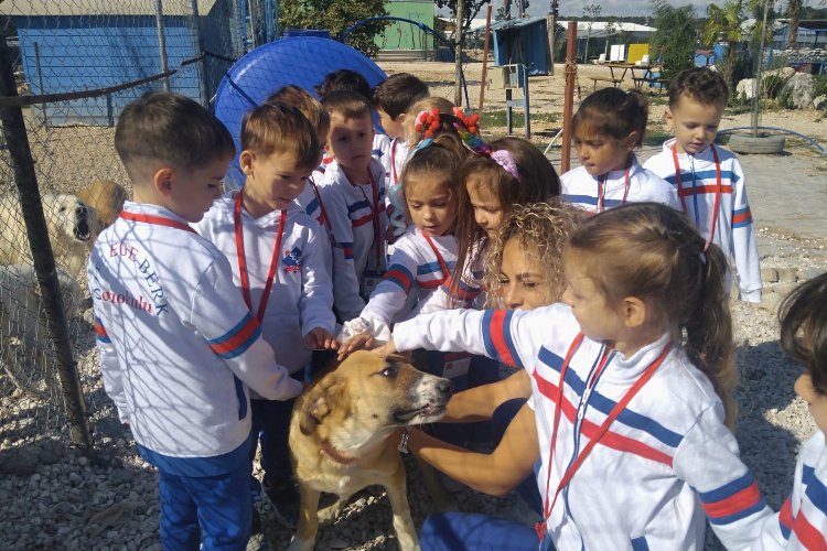 Bursa'da miniklerden sevimli dostlara renkli ziyaret -