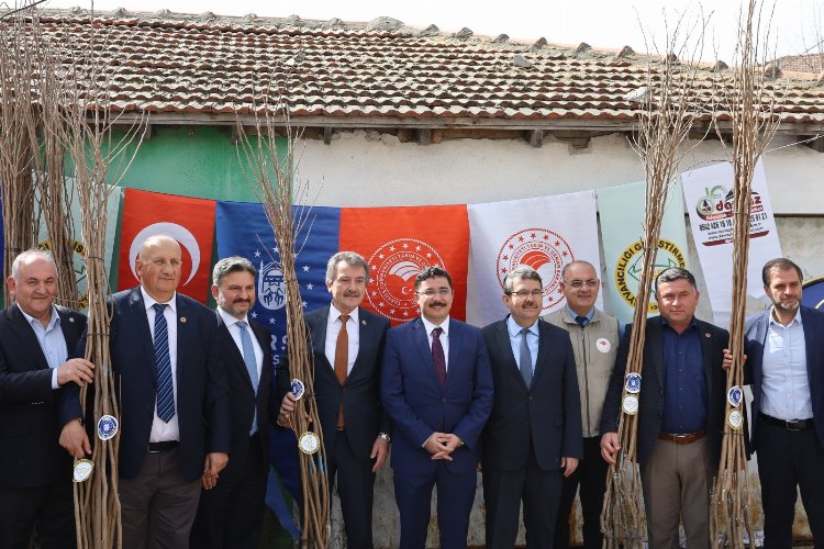 Bursa'da Mudanyalı çiftçilere Trabzon hurması fidanı dağıtıldı -