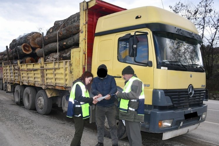 Bursa'da 'Orman'dan emval denetimleri -