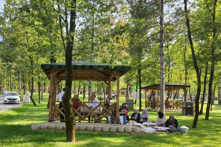 Bursa'da orman yangınlarıyla mücadelede yeni karar -