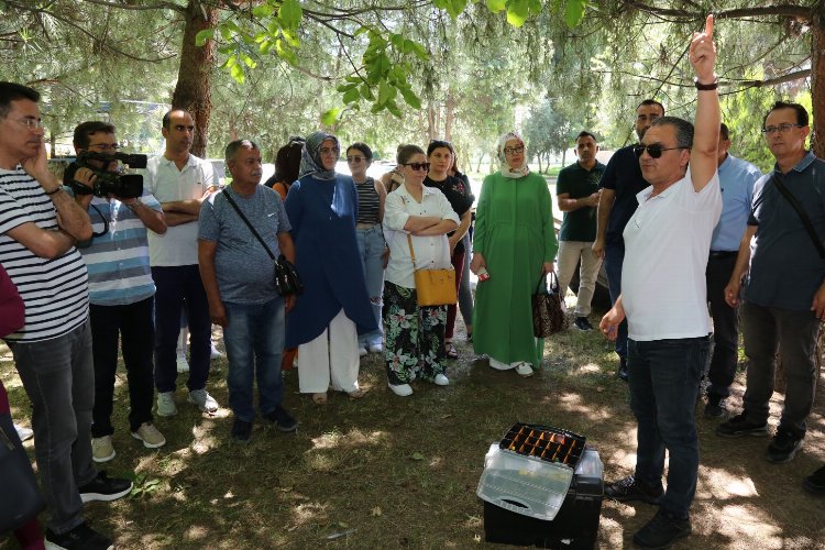 Bursa'da teknik personele 'zirai mücadele aletlerinin doğru kullanımı' eğitimi -