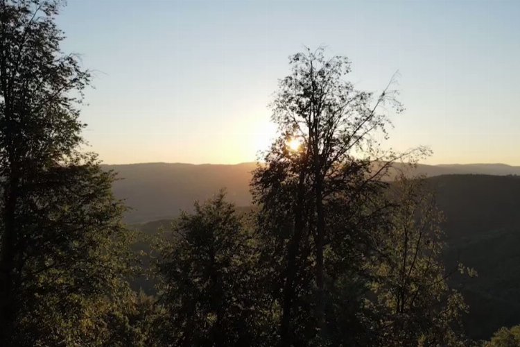 Bursa'da yaban hayatı fotokapanlara yansıdı -