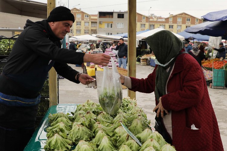 Bursa Gemlik'te ilk hasat marullar satışta -