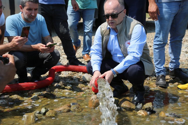 Bursa göletlerine 2,5 milyon sazan bırakıldı -