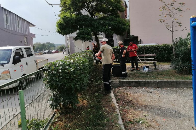 Bursa Gürsu'da parklar yeşilin huzuruyla kaplandı -