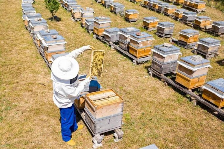 Bursa İnegöl Belediyesi'nden 250 adet 'arı kovanı' desteği -