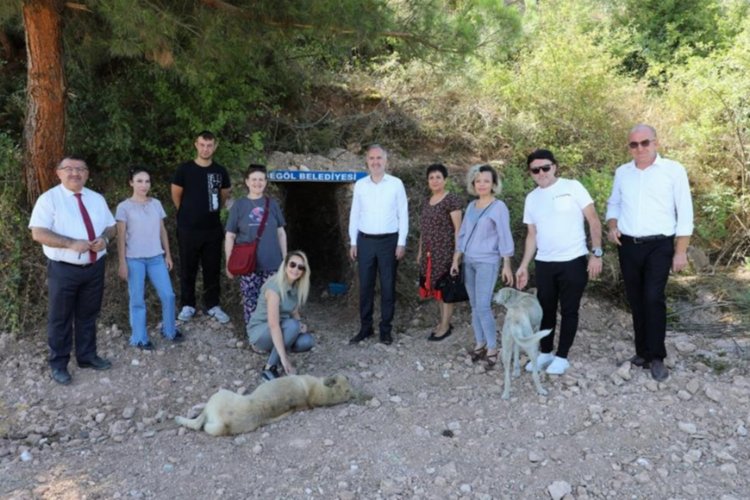 Bursa İnegöl'de sokak canlılarına doğal alanlar -