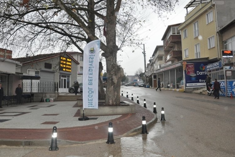 Bursa İnegöl'e Akhisar’da sokak hayvanlarına yardım eli çağrısı -