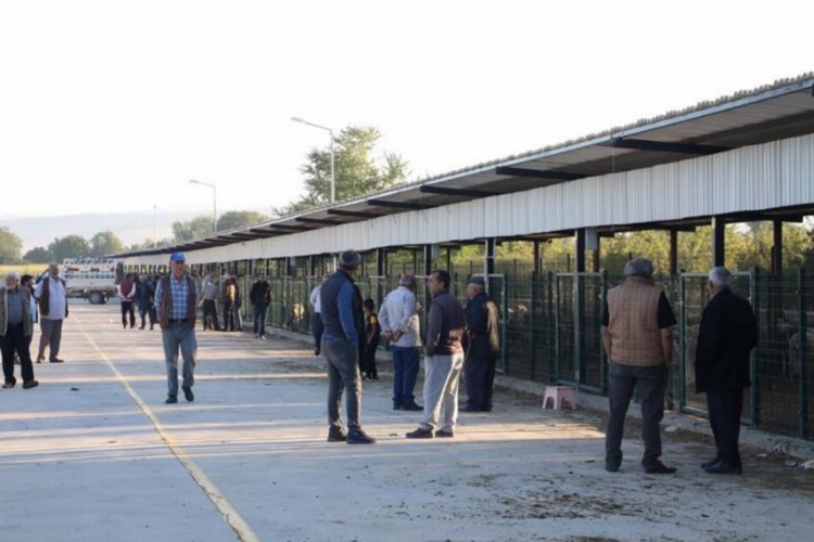 Bursa İnegöl Hayvan Pazarı yeniden hizmette -