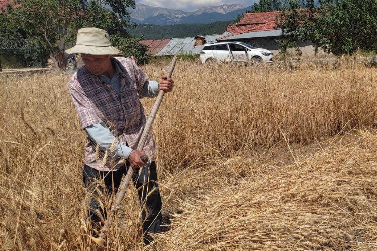 Bursa Keles’te ata topraklarına sahip çıkıyor -