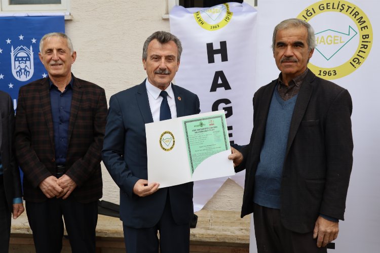 Bursa Keles'te buğdayın atasına sertifikalı üretim -