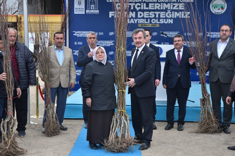Bursa Kelesli üreticiye meyve fidanı ve tohum desteği -