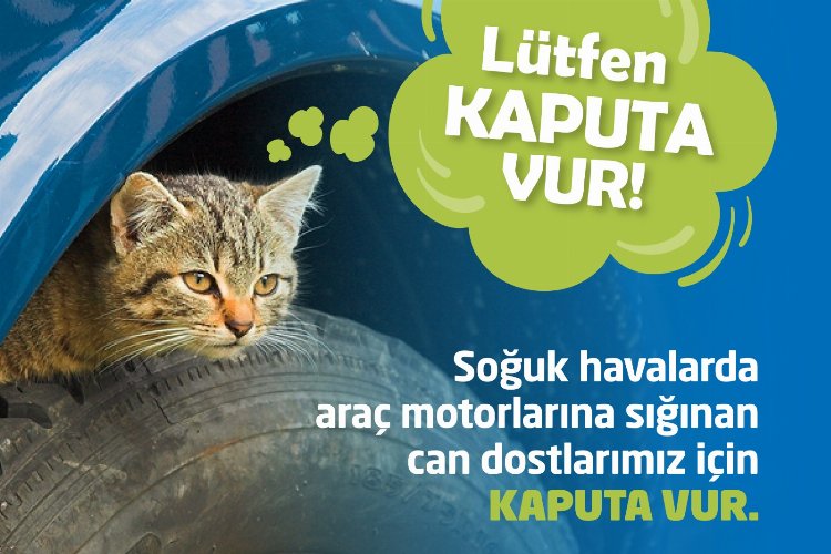 Bursa Kestel'de 'kaputa vur' uyarısı -