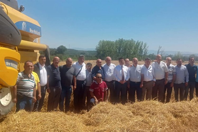 Bursa Mudanya'da buğday hasadı gerçekleşti -