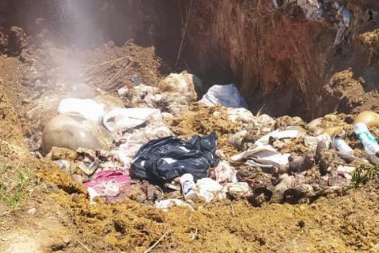 Bursa Mudanya'da karasineğin nedeni ihmal -
