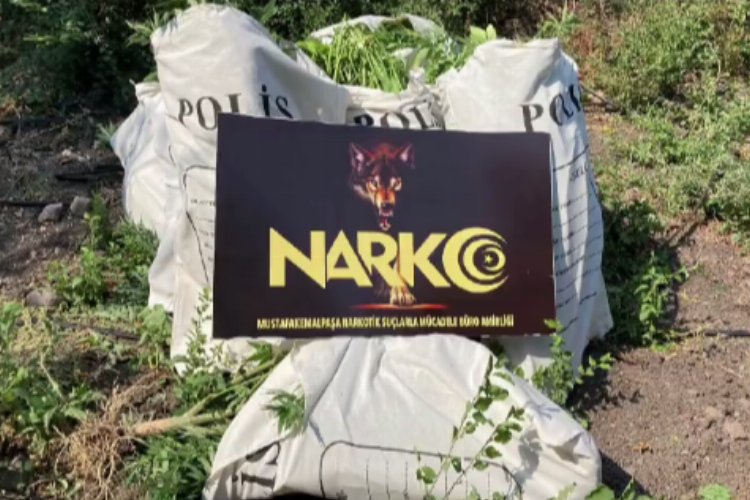 Bursa NARKO'dan şafak operasyonu: 135 gözaltı -